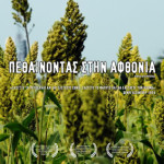 Pethainontas_stin_afthonia