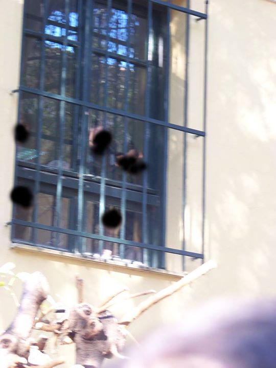 Αθήνα : Σάββατο 10/01, 09:00 – Συγκέντρωση αλληλεγγύης στους συλληφθέντες του Διστόμου