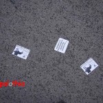 DSC04512a