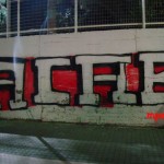 DSC04571a
