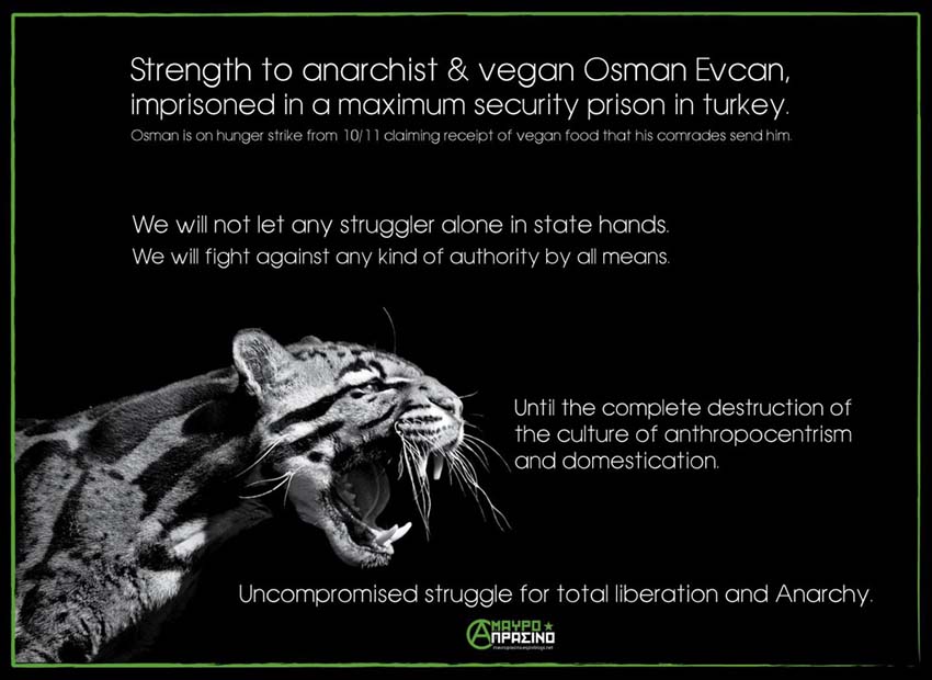 Greece: Strength to anarchist-vegan Osman Evcan
