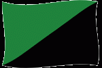 green_anarchy_flag_by_somethingunuasul