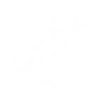 bullet_hol-FAUXreal1-