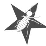 cropped-cropped-logo-termita