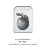 exof-page-001