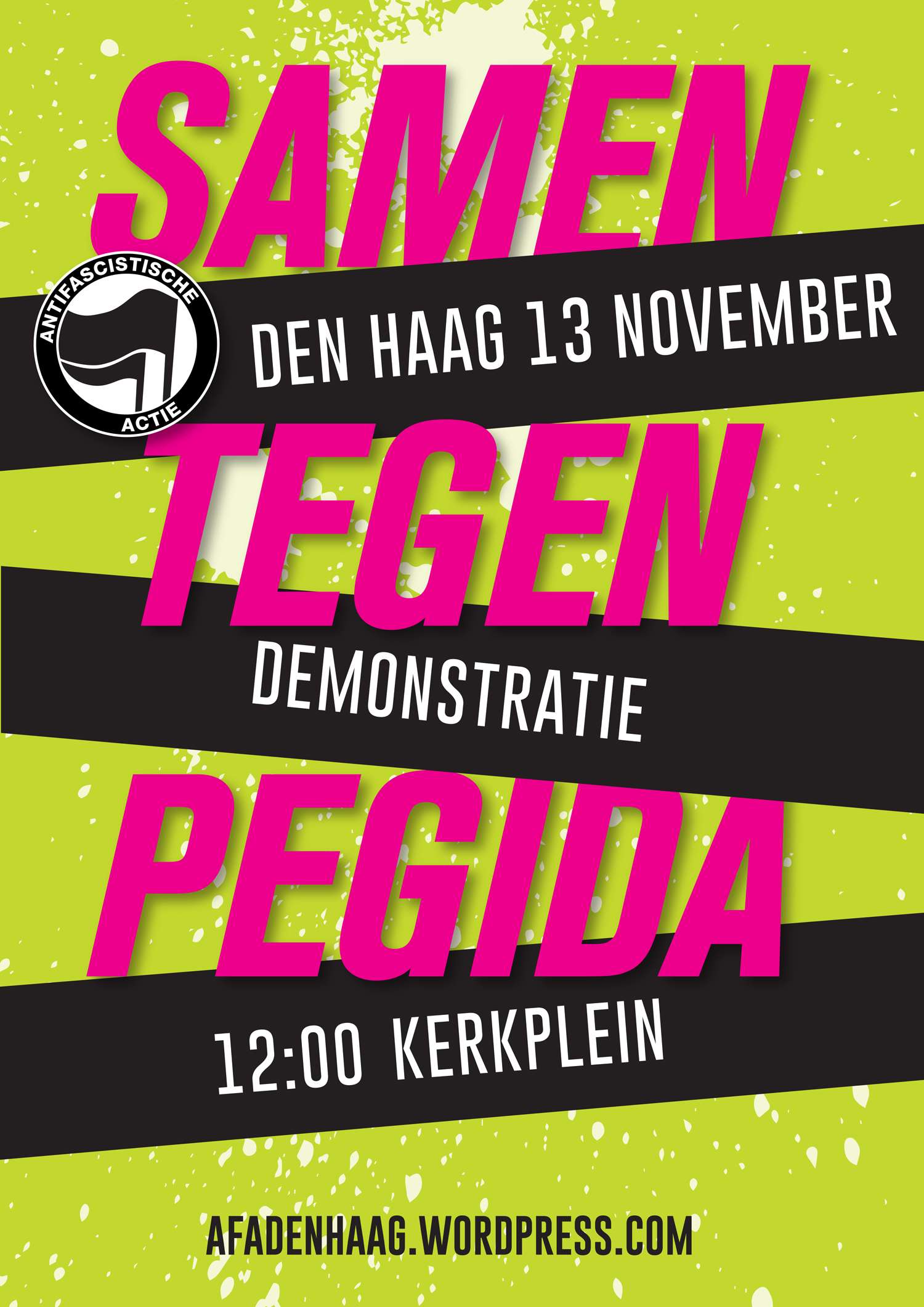 Kerkplein, Den Haag: Demonstratie: Geen ruimte voor Pegida! Stop racisme! [13-11-2016]
