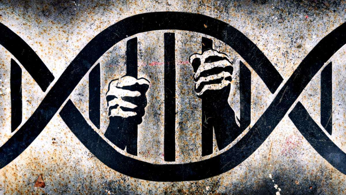 Κρατούμενοι της Δ2 Πτέρυγας των φυλακών Δομοκού: Κινητοποίηση από σήμερα 17/4