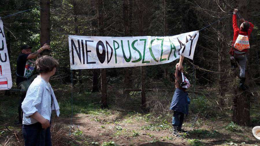 Poland: The Struggle for Białowieża Forest