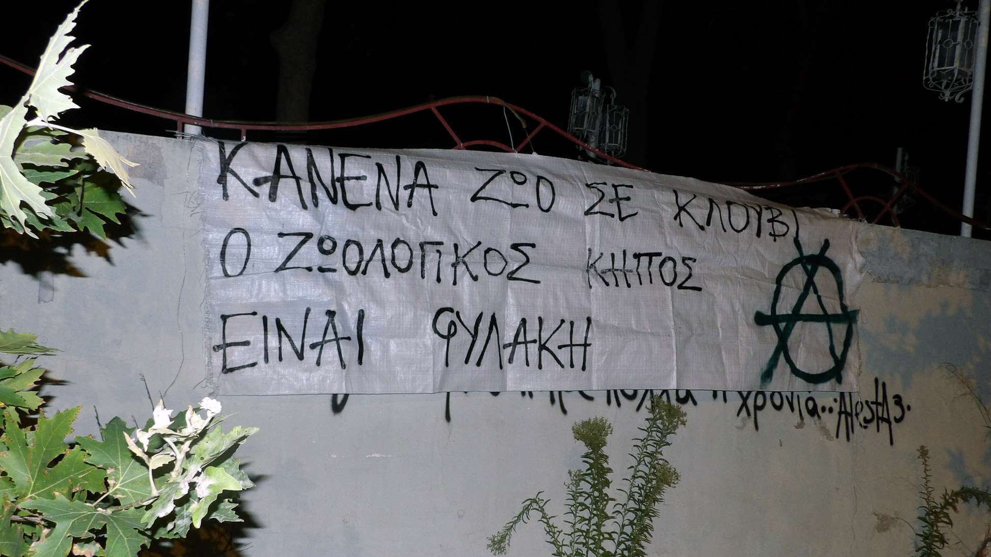 Θεσσαλονίκη: Πανό και στράτσα για το περιστατικό σε ζωολογικό κήπο της Πάτρας