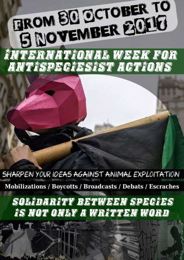 Call-out for a Week of International Action Against Speciesism and Its World! Oct 30-Nov 5, 2017