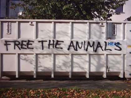 Germany : Anti-vivisection messages painted at research centers