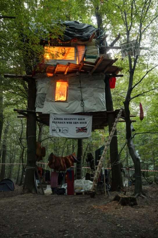 Germany: Call From Hambacher Forest: We Need All of You!