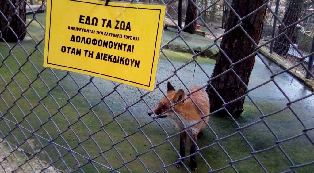 Παρέμβαση στον ζωολογικό κήπο Θεσσαλονίκης